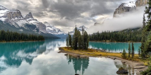 Free Assessment : Assess Your chances to Immigrate to Canada
